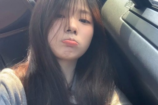 赵丽颖421页PDF揭秘：从普通女孩到顶级明星的蜕变