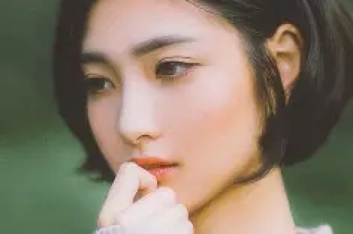 吴启华涉嫌召妓丑闻